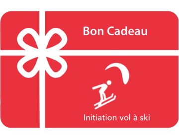 Initiation Vol à ski